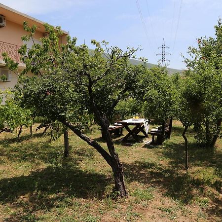 Garden House Apartment Trebinje Extérieur photo